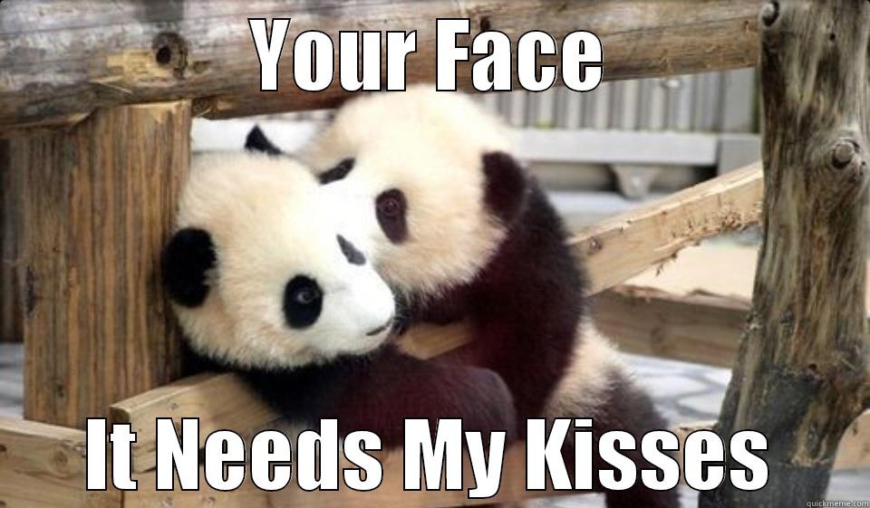 Panda Kiss - YOUR FACE IT NEEDS MY KISSES Misc