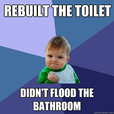 Rebuilt the Toilet Didn't flood the bathroom  Success Kid