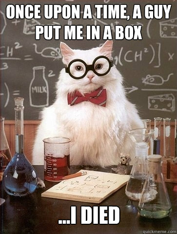 Once upon a time, a guy put me in a box ...i died  Chemistry Cat