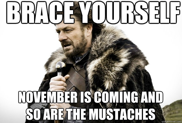 Brace Yourself  November is coming and so are the mustaches  Tea break Ned Stark
