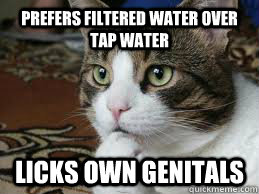 Prefers filtered water over tap water LICKS OWN GENITALS - Prefers filtered water over tap water LICKS OWN GENITALS  Contradictory Cat
