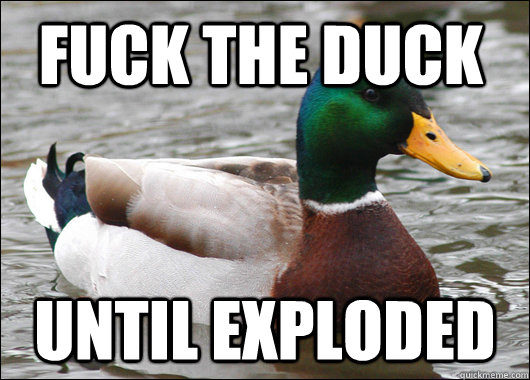 Fuck the duck until exploded - Fuck the duck until exploded  Actual Advice Mallard
