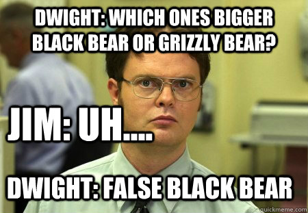 Dwight: Which ones bigger black bear or grizzly bear? Jim: uh.... dwight: false black bear - Dwight: Which ones bigger black bear or grizzly bear? Jim: uh.... dwight: false black bear  Dwight Schrute