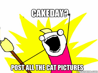 Cakeday? Post all the cat pictures  All The Things