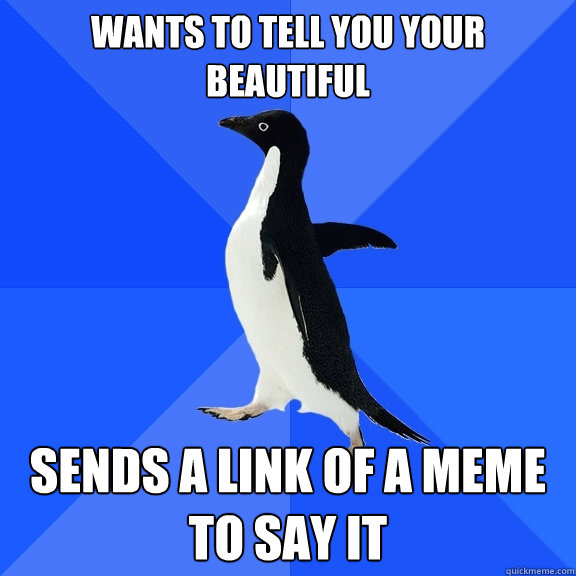 Wants to tell you your beautiful sends a link of a meme to say it  Socially Awkward Penguin