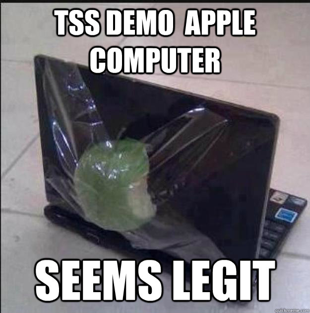 TSS demo  Apple computer Seems Legit  