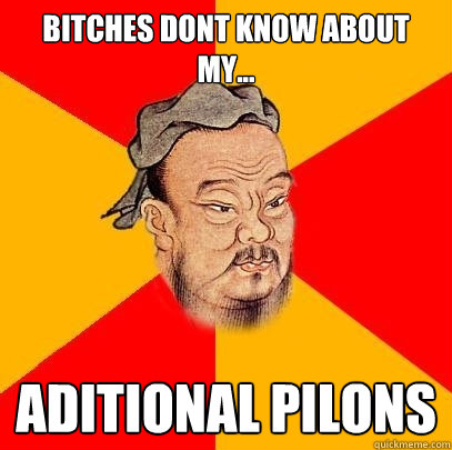 BITCHES DONT KNOW ABOUT MY... ADITIONAL PILONS  Confucius says
