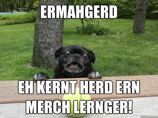 Ermahgerd eh kernt herd ern merch lernger! - Ermahgerd eh kernt herd ern merch lernger!  Berks Dog