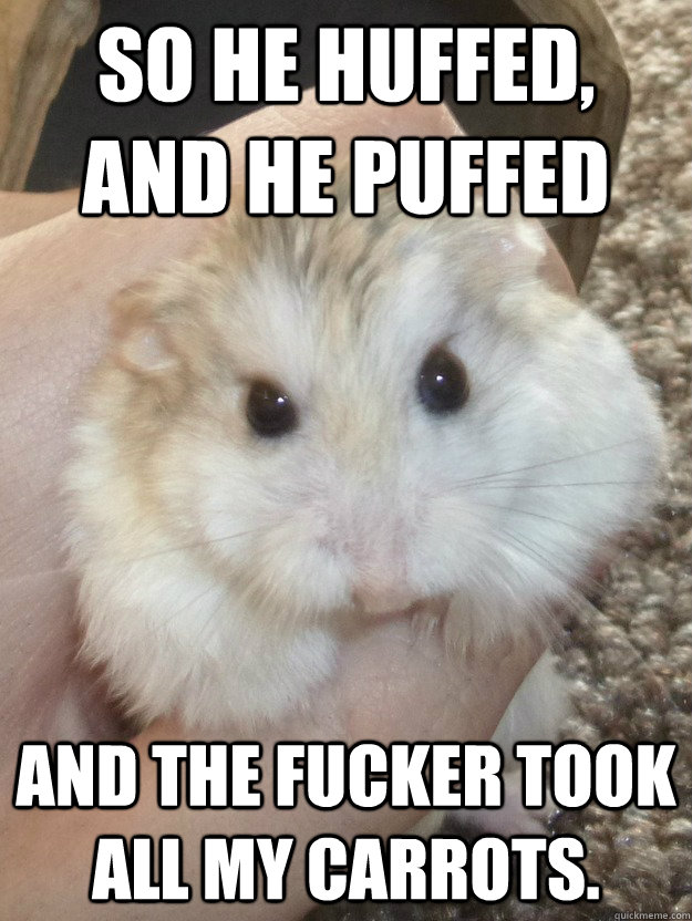 So he huffed,  and he puffed and the fucker took all my carrots. - So he huffed,  and he puffed and the fucker took all my carrots.  Sad Hamster