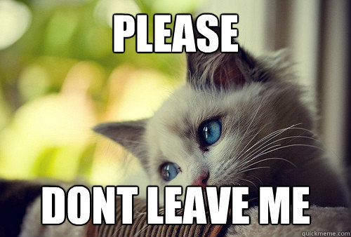 PLEASE DONT LEAVE ME  First World Problems Cat