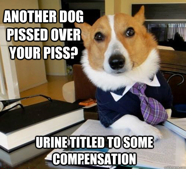 Another dog pissed over your piss? Urine titled to some compensation  Lawyer Dog