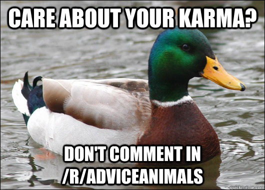 Care about your karma? don't comment in /r/adviceanimals  Actual Advice Mallard