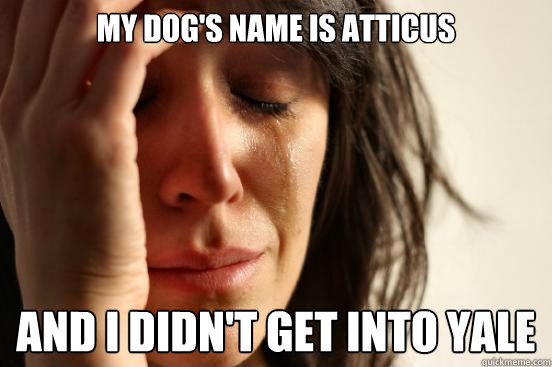 My dog's name is Atticus and I didn't get into Yale  First World Problems