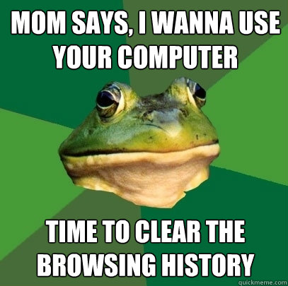 mom says, i wanna use your computer time to clear the browsing history  Foul Bachelor Frog