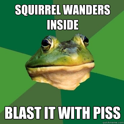 squirrel wanders inside blast it with piss  Foul Bachelor Frog