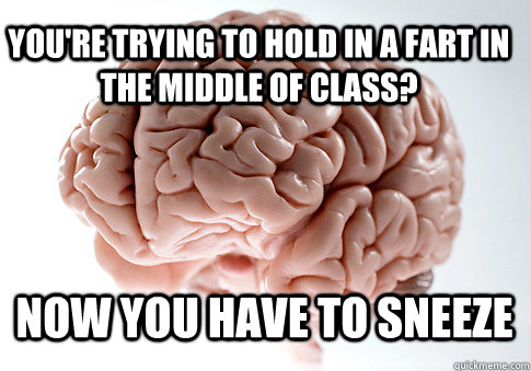 You're trying to hold in a fart in the middle of class? Now you have to sneeze   Scumbag Brain