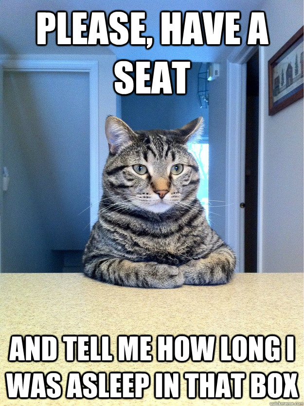Please, have a seat and tell me how long I was asleep in that box   Chris Hansen Cat