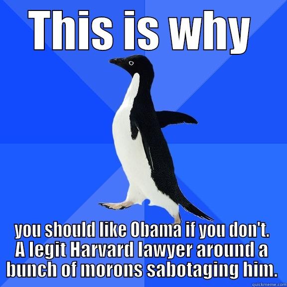 THIS IS WHY YOU SHOULD LIKE OBAMA IF YOU DON'T. A LEGIT HARVARD LAWYER AROUND A BUNCH OF MORONS SABOTAGING HIM. Socially Awkward Penguin