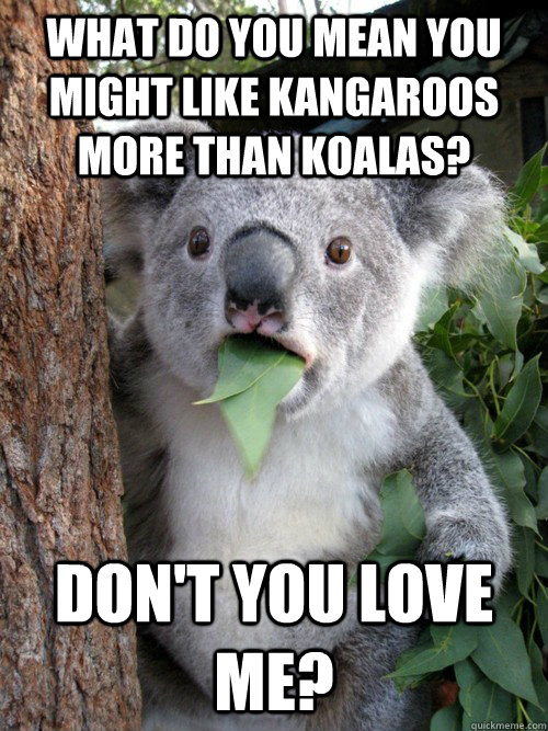 What do you mean you might like Kangaroos more than koalas? Don't you love me? - What do you mean you might like Kangaroos more than koalas? Don't you love me?  Surprised Koala