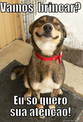 VAMOS  BRINCAR?  EU SÓ QUERO SUA ATENÇÃO! Good Dog Greg