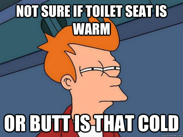 not sure if toilet seat is warm or butt is that cold  Futurama Fry