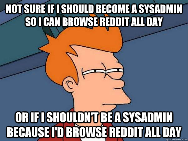 Not sure if I should become a sysadmin so I can browse reddit all day Or if I shouldn't be a sysadmin because I'd browse reddit all day  Futurama Fry