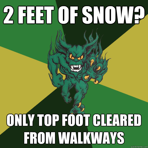 2 feet of snow? only top foot cleared from walkways  Green Terror