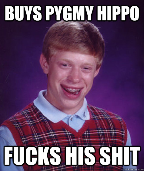 buys pygmy hippo Fucks his shit - buys pygmy hippo Fucks his shit  Bad Luck Brian