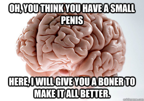 Oh, you think you have a small penis Here, i will give you a boner to make it all better.  Scumbag Brain