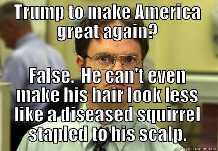 Trump scalp - TRUMP TO MAKE AMERICA GREAT AGAIN? FALSE.  HE CAN'T EVEN MAKE HIS HAIR LOOK LESS LIKE A DISEASED SQUIRREL STAPLED TO HIS SCALP. Schrute