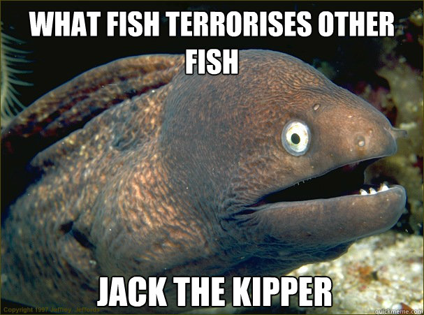 What fish terrorises other fish jack the kipper   Bad Joke Eel