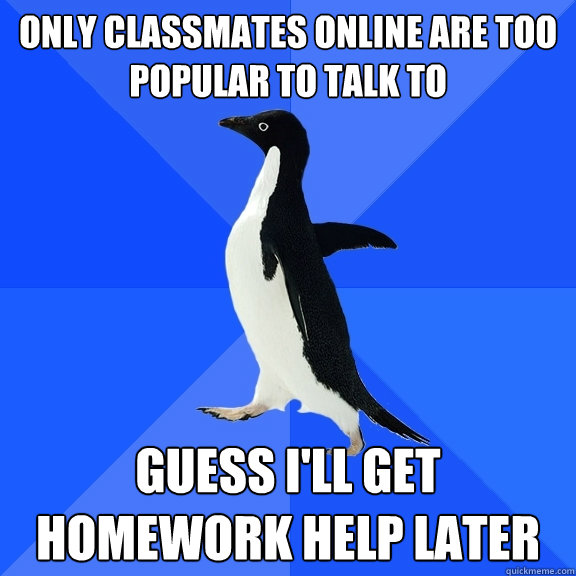 Only classmates online are too popular to talk to Guess I'll get homework help later  Socially Awkward Penguin