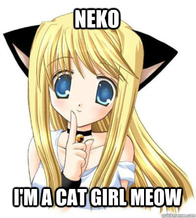 neko i'm a cat girl meow  
