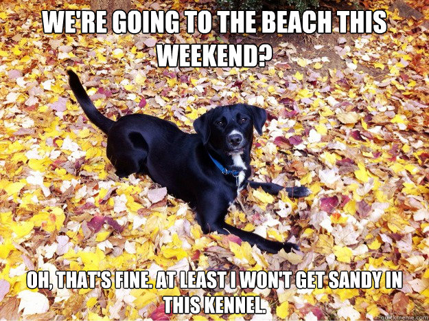 We're going to the beach this weekend? Oh, that's fine. At least I won't get sandy in this kennel.  Guilt Giving Good Dog