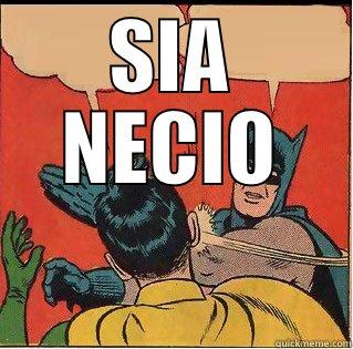 SIA NECIO  Slappin Batman