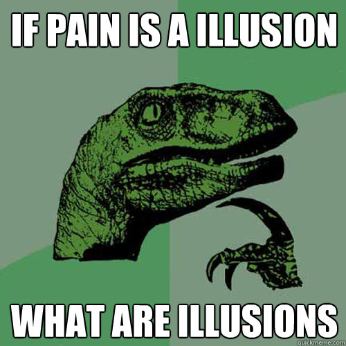 if pain is a illusion  what are illusions  Philosoraptor
