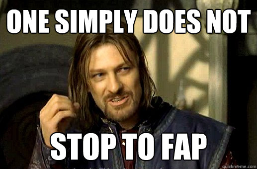 One simply does not stop to fap  Boromir