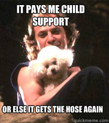 or else it gets the hose again It pays me child support  Silence of the lambs