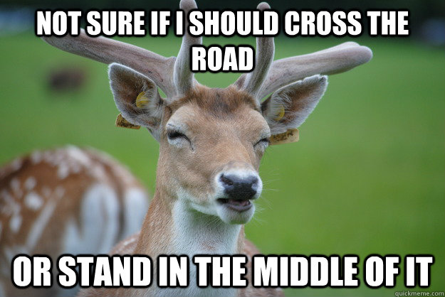 Not Sure if i should cross the road Or stand in the middle of it  