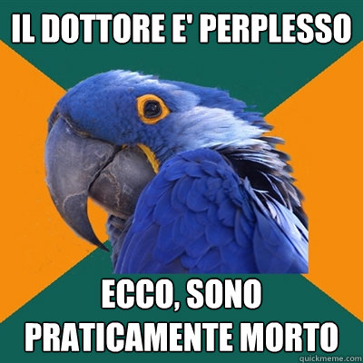 il dottore e' perplesso ecco, sono praticamente morto  Paranoid Parrot