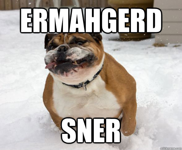 Ermahgerd sner  Derp Dog
