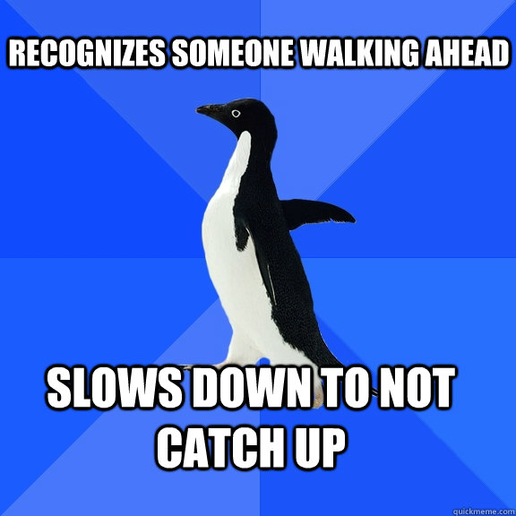 Recognizes someone walking ahead slows down to not catch up    Socially Awkward Penguin