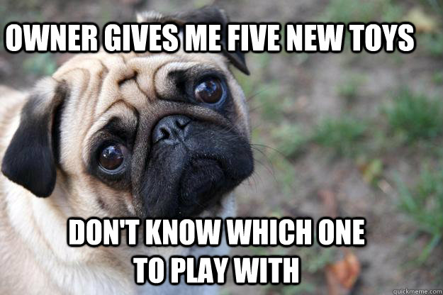 Owner gives me five new toys Don't know which one to play with   First World Dog problems