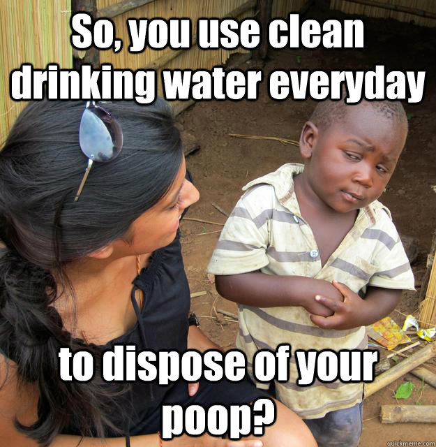 So, you use clean drinking water everyday to dispose of your poop?  3rd World Skeptical Child