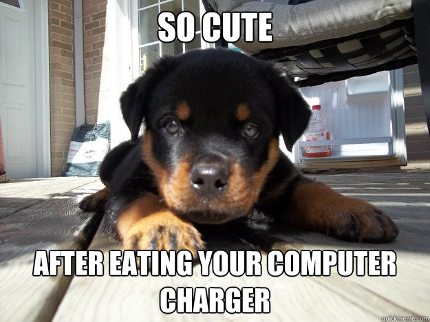 SO cute after eating your computer charger  
