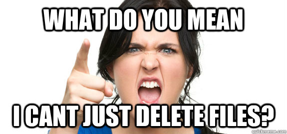 what do you mean i cant just delete files?  Angry Customer