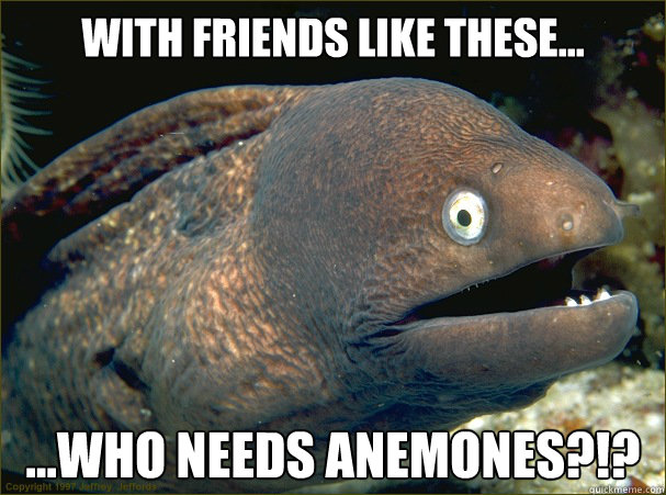 With friends like these... ...who needs anemones?!?  Bad Joke Eel