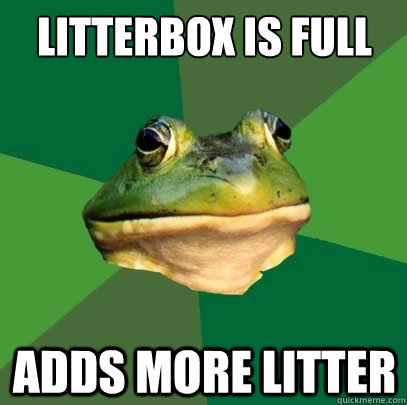 litterbox is full adds more litter  Foul Bachelor Frog