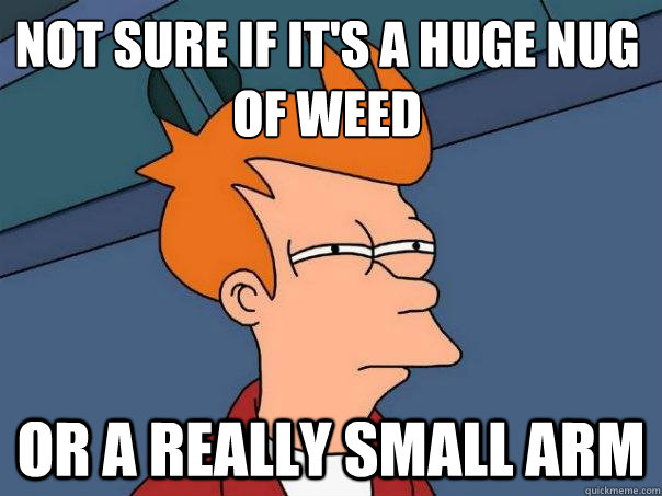 Not sure if it's a huge nug of weed or a really small arm - Not sure if it's a huge nug of weed or a really small arm  Misc