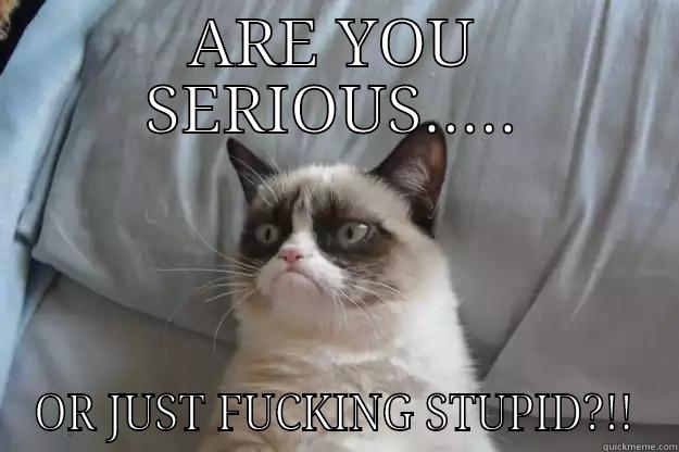 ARE YOU SERIOUS..... OR JUST FUCKING STUPID?!! Grumpy Cat